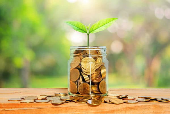green plant grow on golden coin in glass jar with money on wood