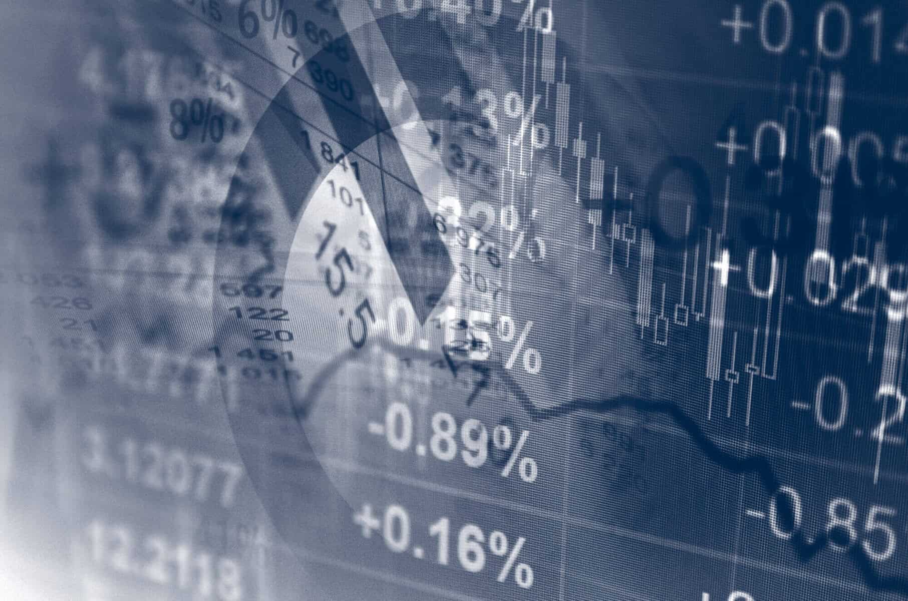 The Hedge – November 2022 Edition