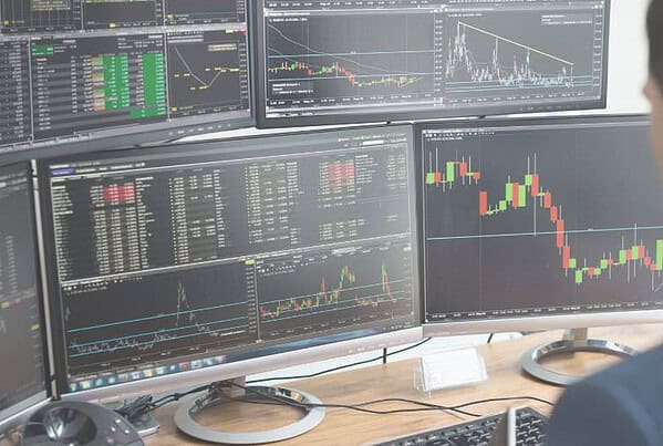 The-Hedge-June-Banner