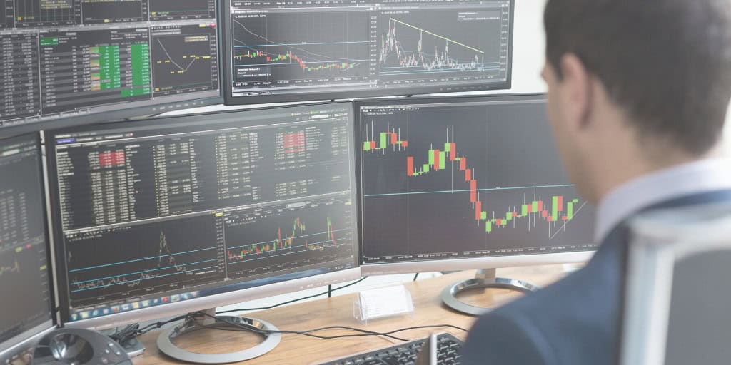 The-Hedge-June-Banner