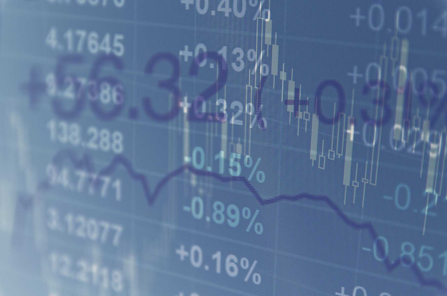 The Hedge – August edition